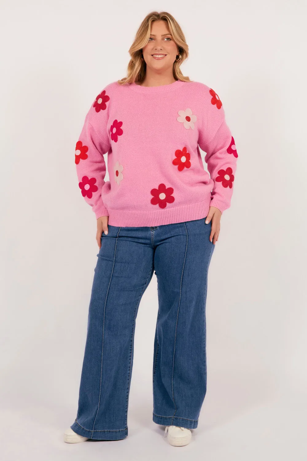 Delphi Jumper in Pink