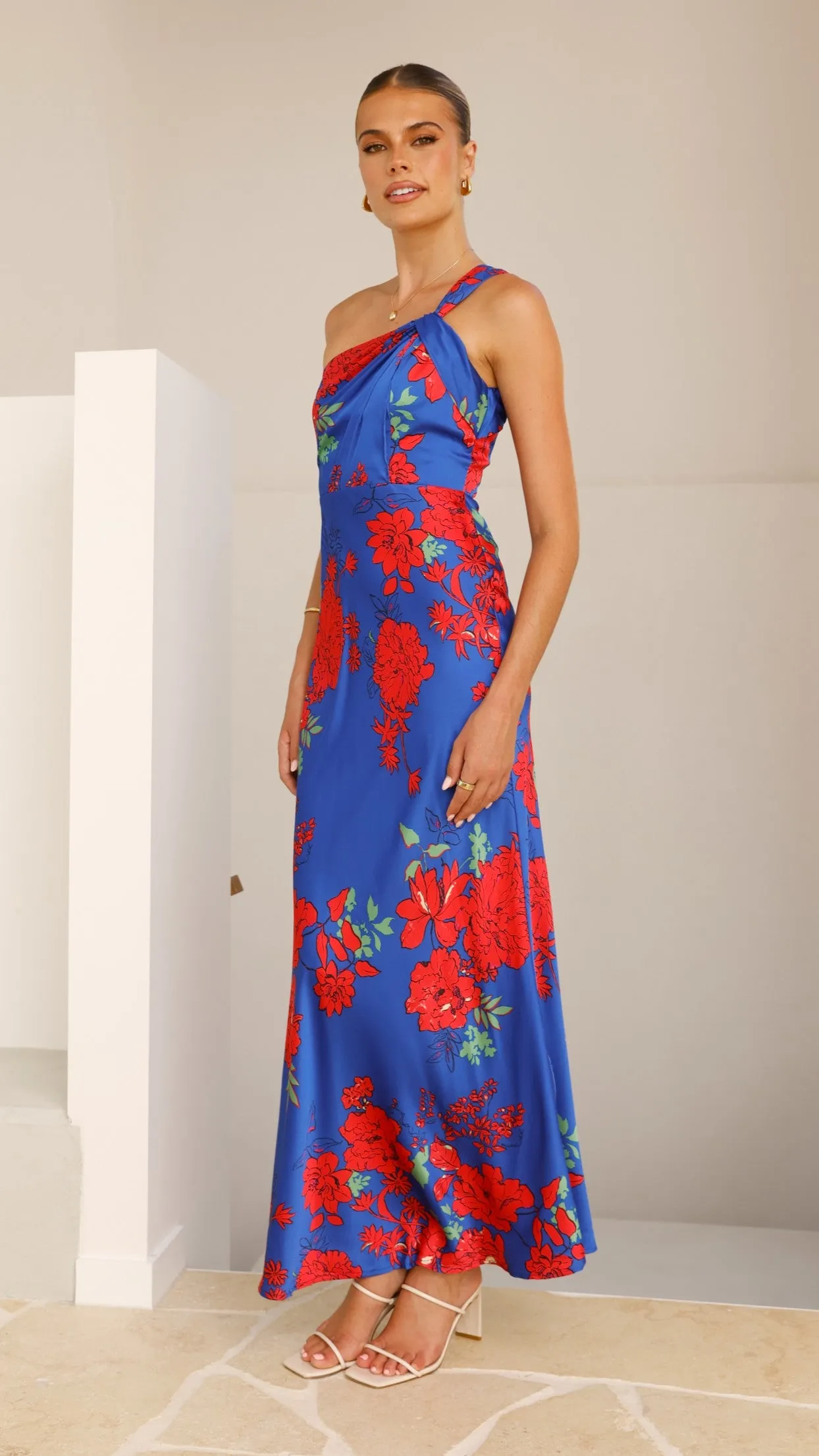 Leah Maxi Dress - Blue/Red Floral