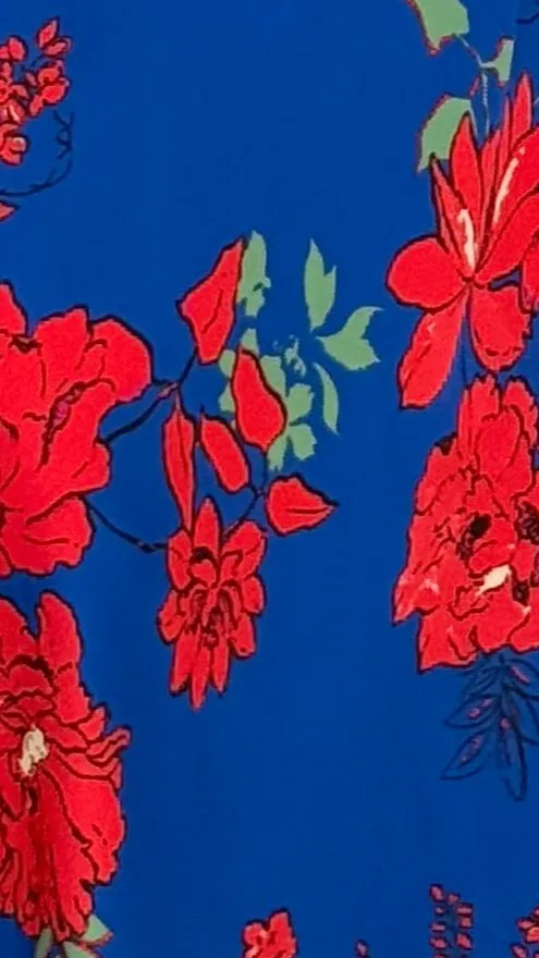 Leah Maxi Dress - Blue/Red Floral